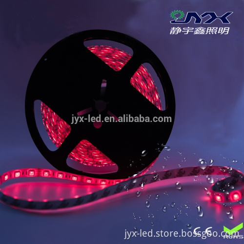 High CRI Single Color SMD 5050 LED Strip 12v 30leds per meter led strip light Flexible garden led Lights